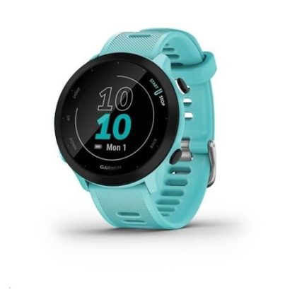 Garmin GPS sportovní hodinky Forerunner 55 Blue, EU