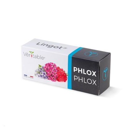 Véritable Lingot Flox