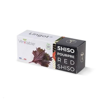 Véritable Lingot Fialový shiso – BIO