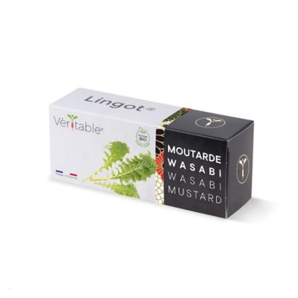 Véritable Lingot Wasabi hořčice listová – BIO